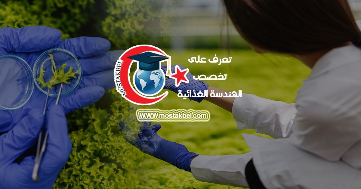دراسة هندسة الأغذية في تركيا 2026–2027 | المواد وفرص العمل